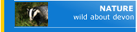 Nature in Devon